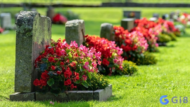 Ngủ và mơ thấy mộ của người lạ ở nghĩa trang muốn nhắc nhở bạn cần quan tâm nhiều hơn đến đời sống tình cảm